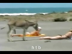 Adolescente en calcetines disfruta del video del pornocaseroxxx conejo (Jordanbliss)